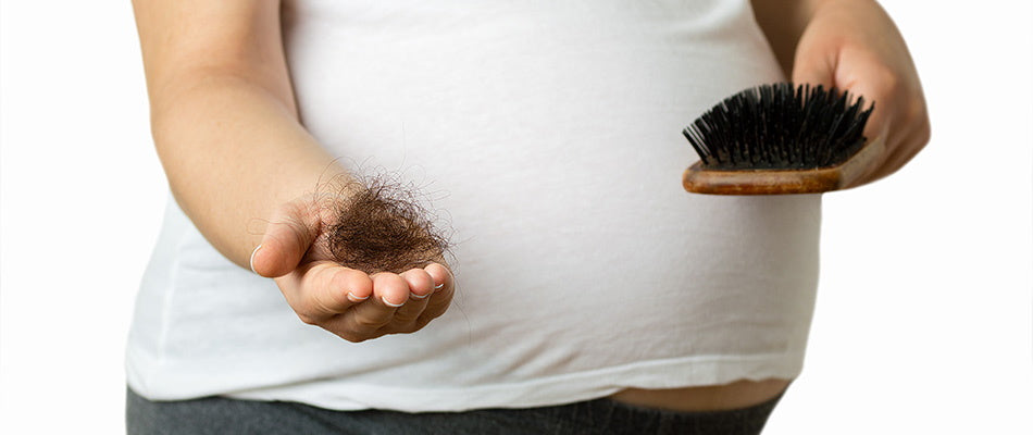 A pregnant woman holding a clump of hair and a hairbrush, illustrating hair loss during pregnancy.