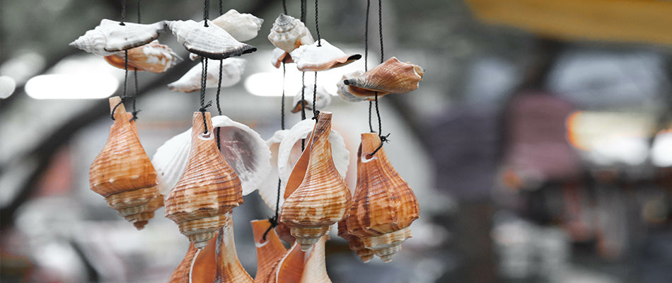 Shell wind chimes hanging