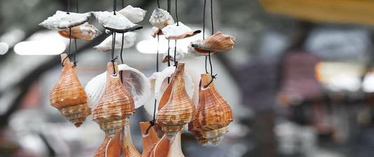 Shell wind chimes hanging