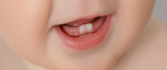 a close-up of a baby's mouth with the first two lower teeth emerging through the gums. The baby’s lips are slightly parted, showcasing the new teeth.