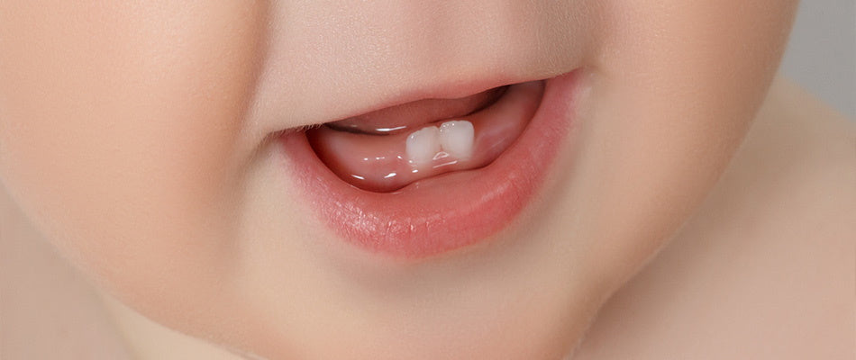 a close-up of a baby's mouth with the first two lower teeth emerging through the gums. The baby’s lips are slightly parted, showcasing the new teeth.