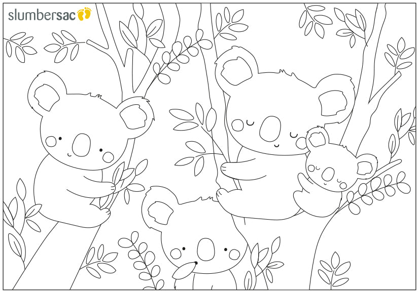 Discover Our Free Colouring Pages discover-our-free-colouring-pages