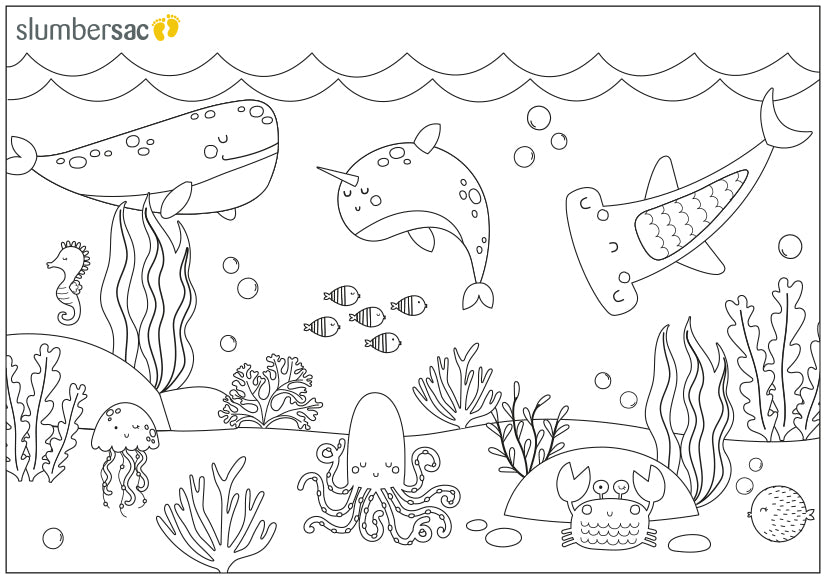 Discover Our Free Colouring Pages discover-our-free-colouring-pages